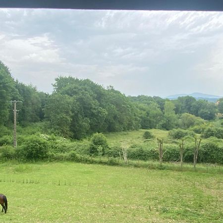 Appartement indépendant dans belle maison basque Mouguerre Extérieur photo