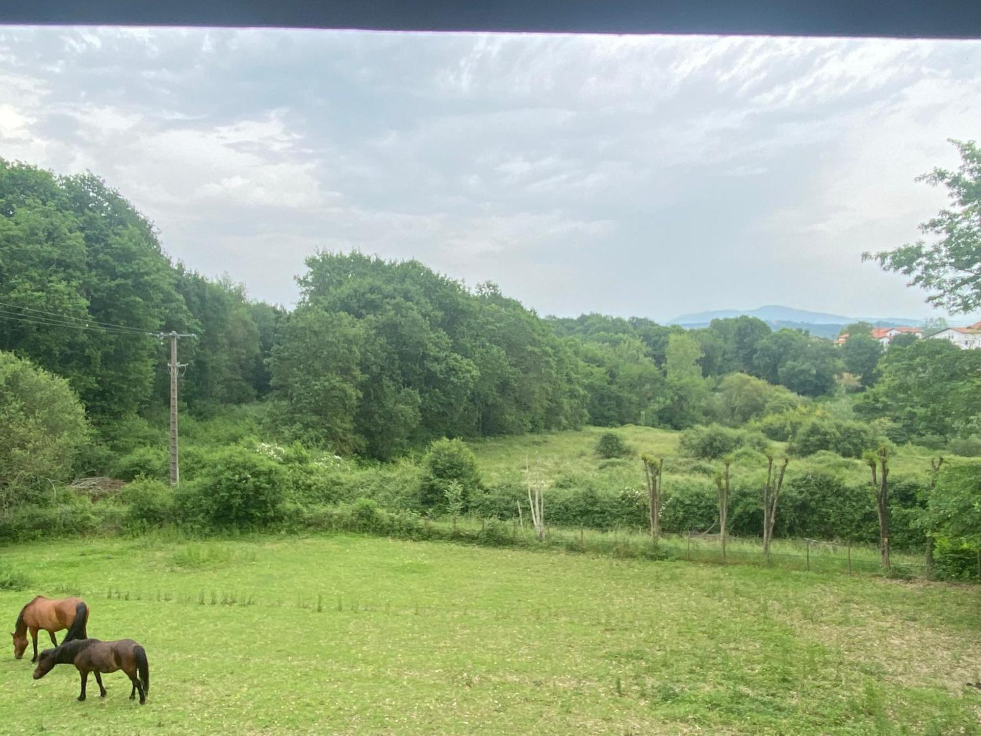 Appartement indépendant dans belle maison basque Mouguerre Extérieur photo